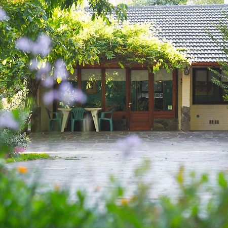 טרלאו El Colibri Cabanas De La Naturaleza מראה חיצוני תמונה