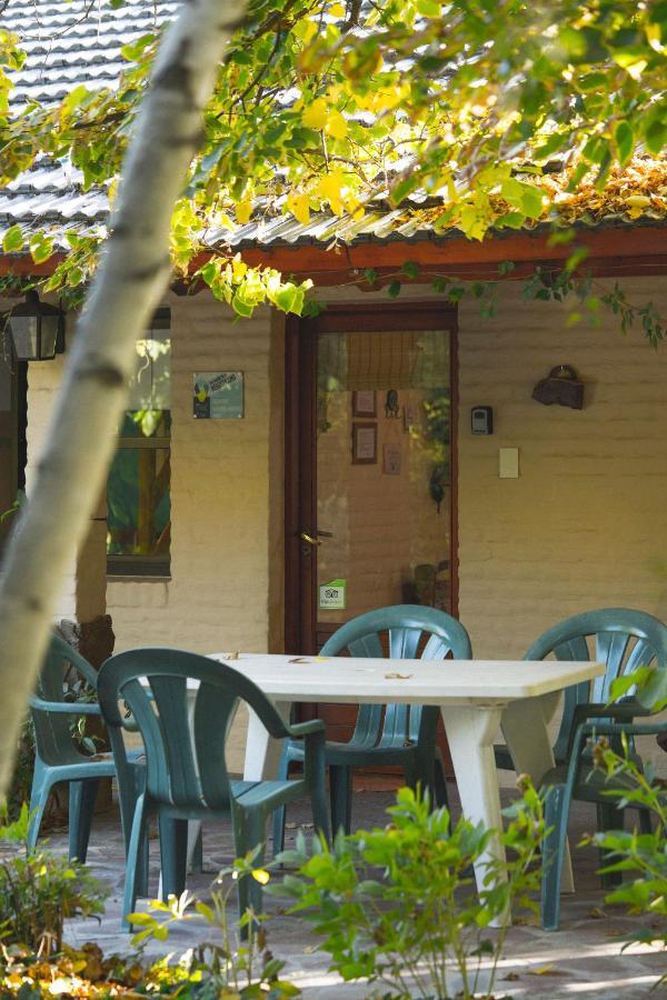 טרלאו El Colibri Cabanas De La Naturaleza מראה חיצוני תמונה