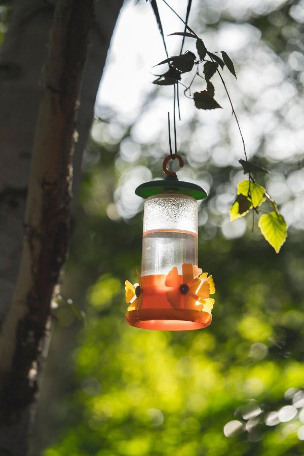 טרלאו El Colibri Cabanas De La Naturaleza מראה חיצוני תמונה